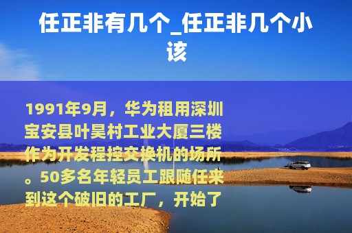 任正非的子女與華為的軟件開發之路